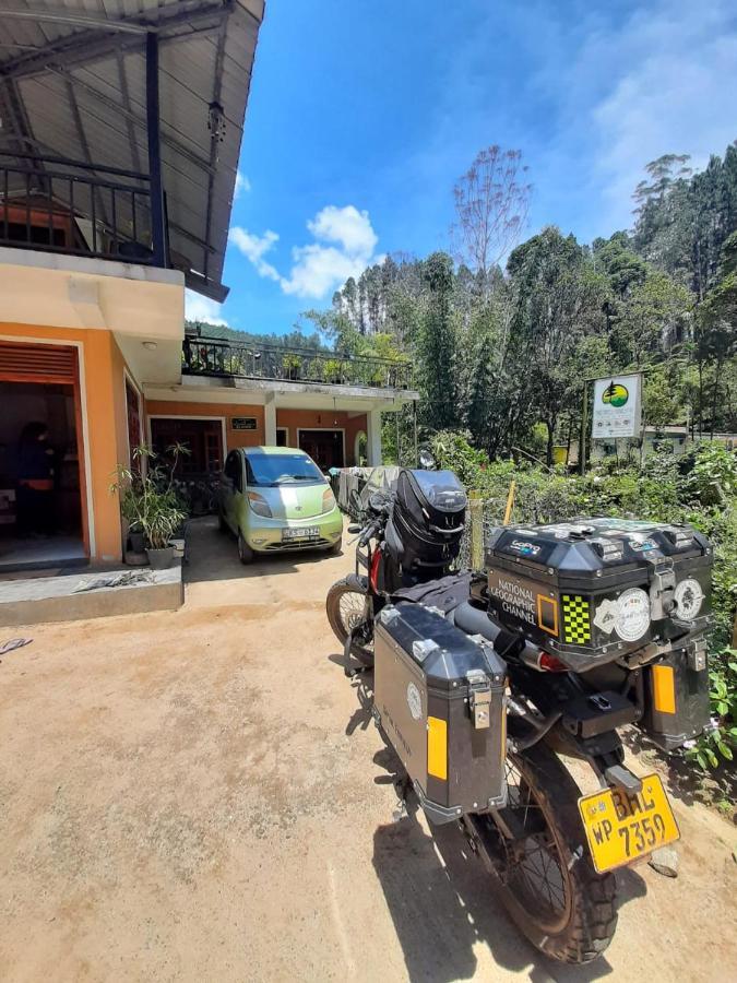 Pine Trees Homestay Nallathanniya Buitenkant foto