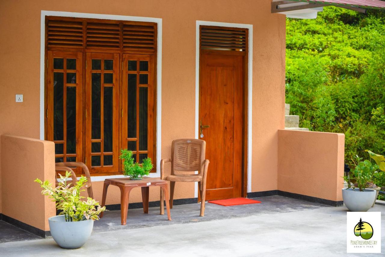 Pine Trees Homestay Nallathanniya Buitenkant foto