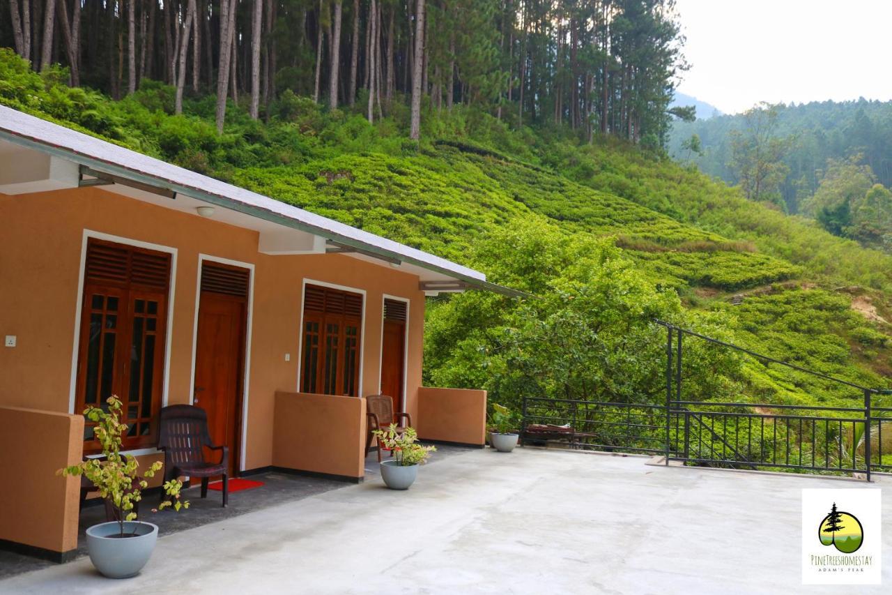 Pine Trees Homestay Nallathanniya Buitenkant foto