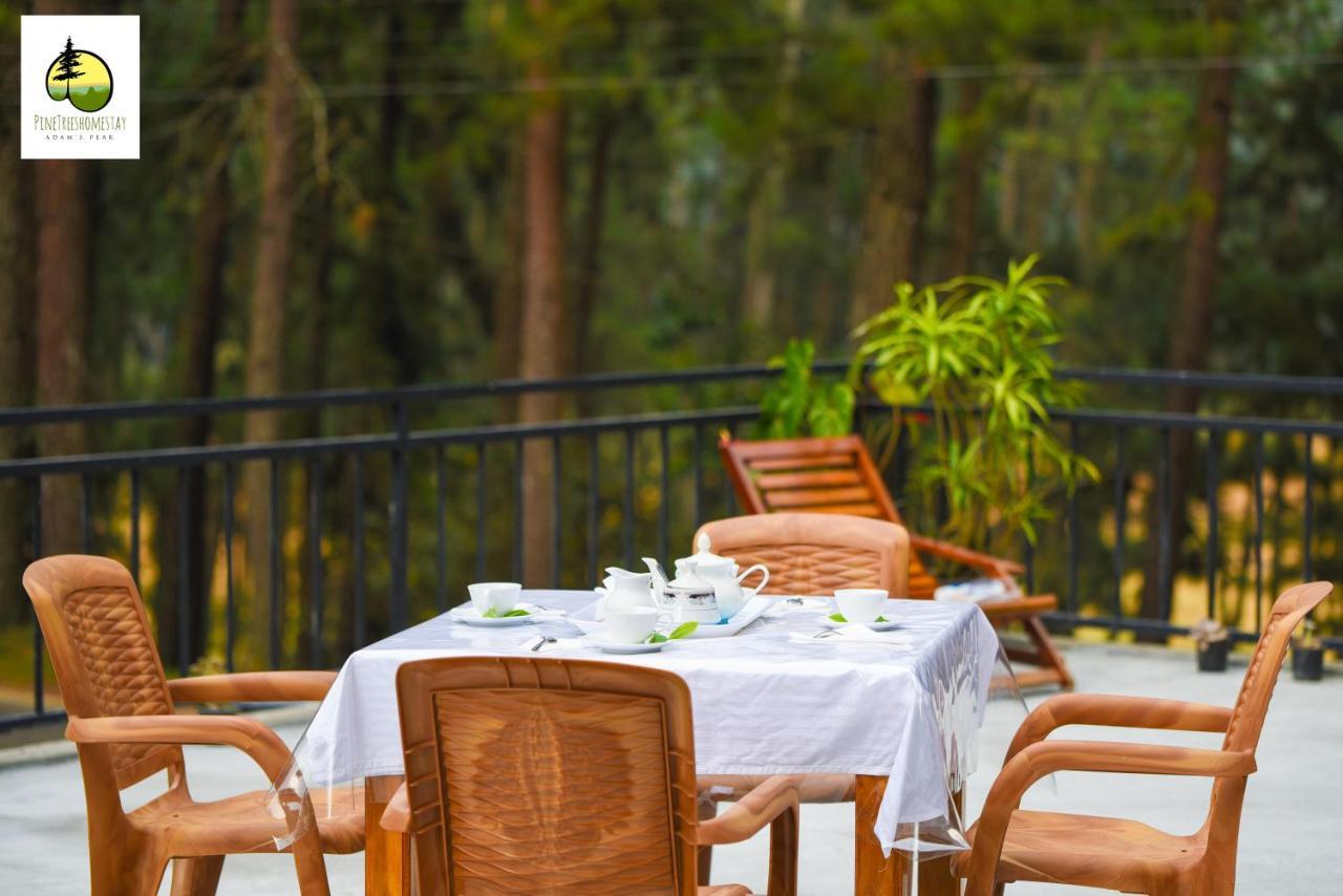 Pine Trees Homestay Nallathanniya Buitenkant foto