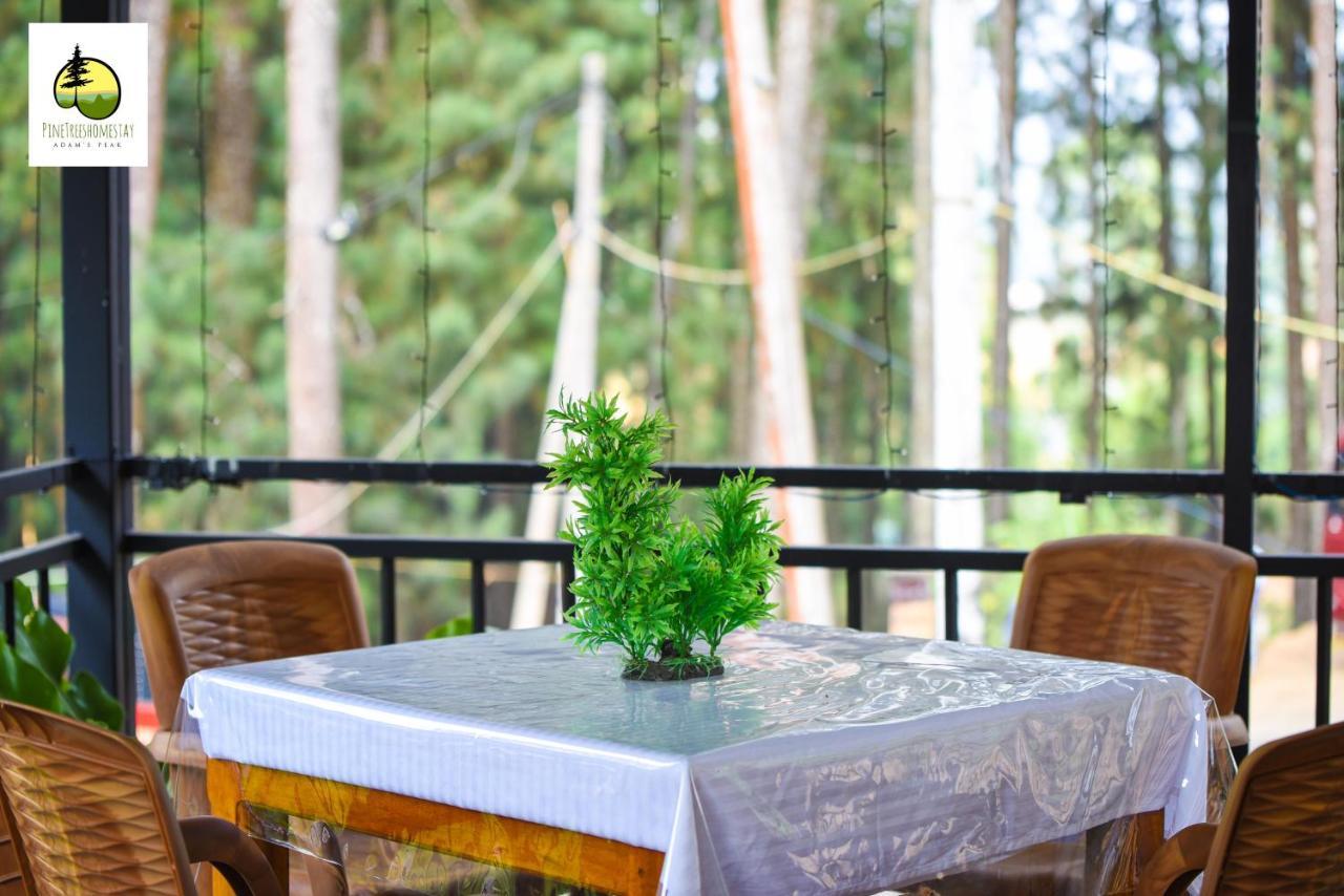 Pine Trees Homestay Nallathanniya Buitenkant foto