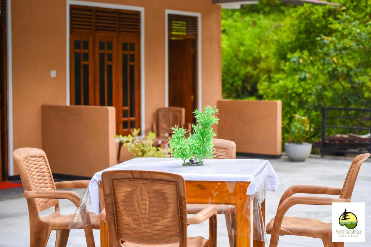 Pine Trees Homestay Nallathanniya Buitenkant foto