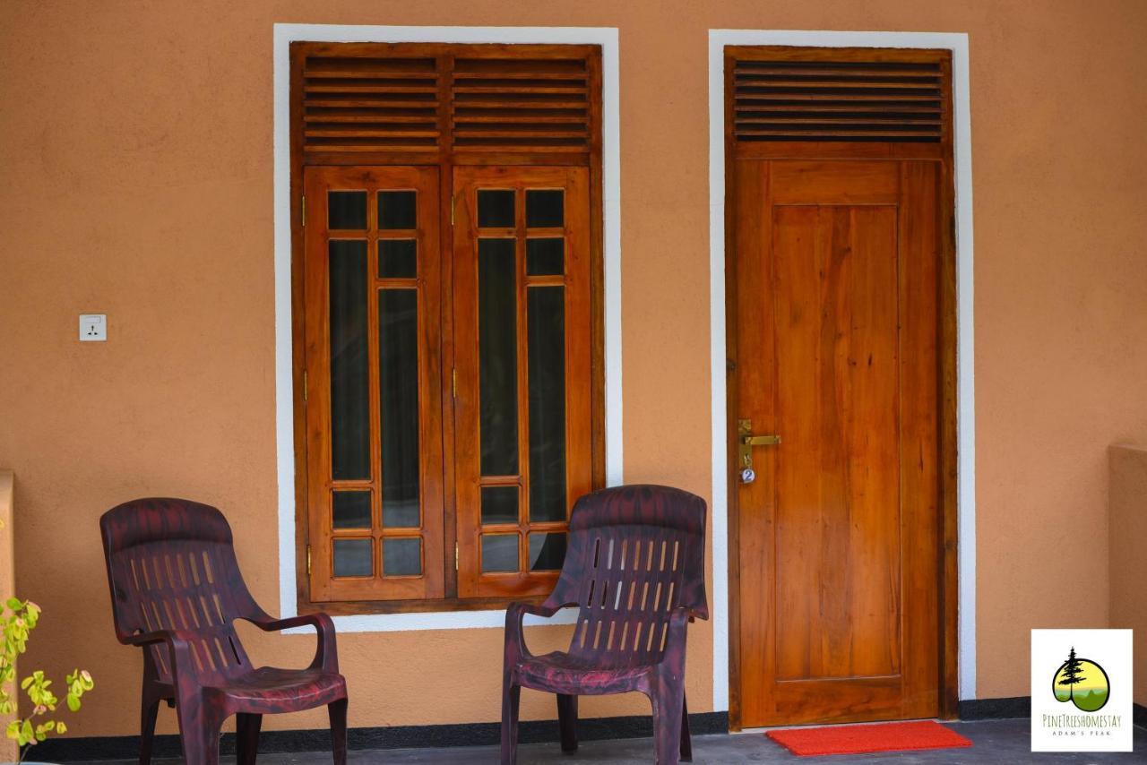 Pine Trees Homestay Nallathanniya Buitenkant foto